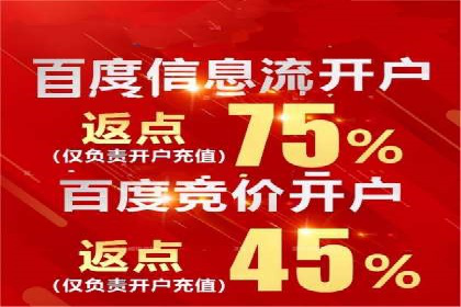 百度推广在电商领域的应用：成功提升销售额的秘诀